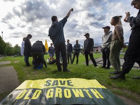 Members of Save Old Growth offer nonviolent education training for anyone wishing to take part in what the group says will be daily blockades of Metro Vancouver roadways, photographed at Jonathan Rogers Park in Vancouver, BC., June 13, 2022.