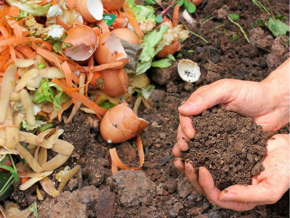 Ways to keep rodents away from garden compost The Province