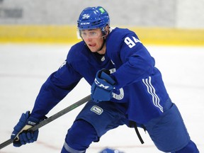 Canucks prospect Linus Karlsson surpassed Elias Pettersson's record last season for goals by a Swedish Hockey League rookie.