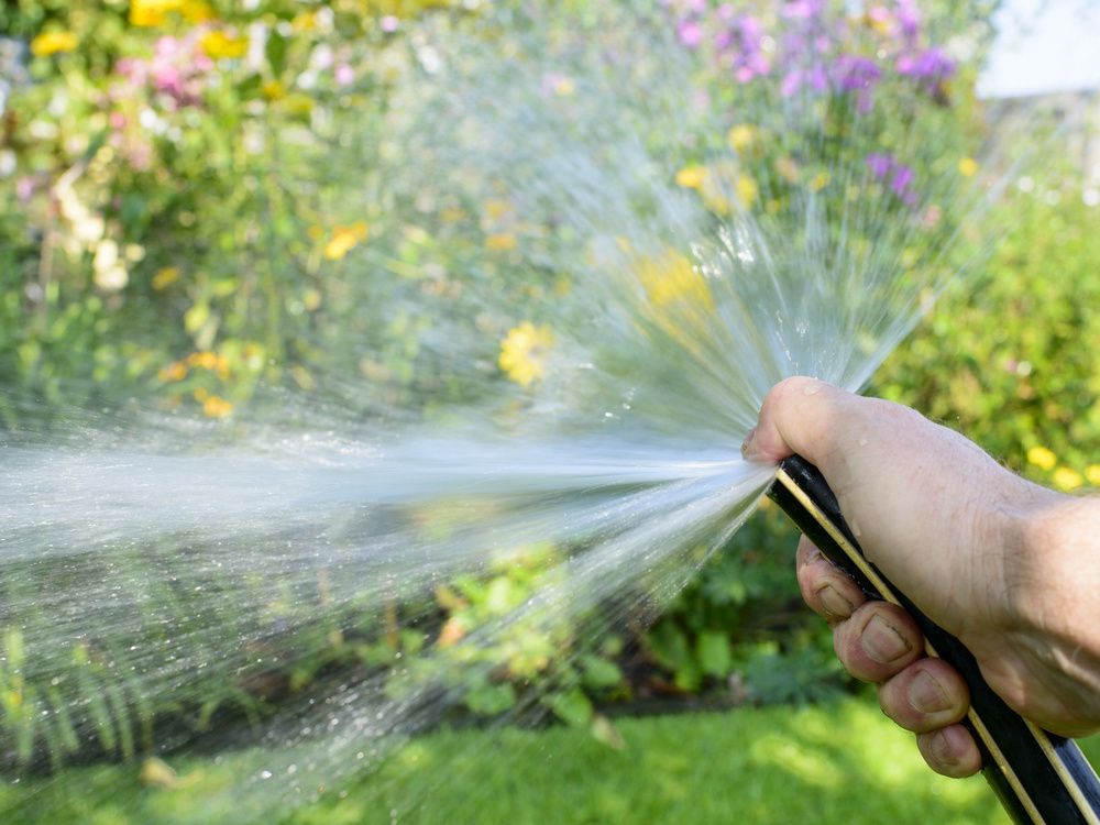 Ways to protect garden from heat and drought | The Province