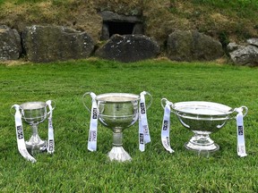 Three trophies from the Ladies Gaelic Football Association.