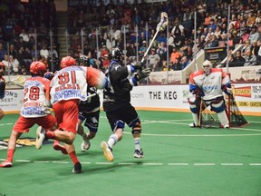 Dane Dobbie of the Langley Thunder drives hard to the net with Peterborough Lakers defenders in hot pursuit Tuesday night.