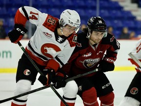 Colton Langkow of the Vancouver Giants and Cayden Glover of the Prince George Cougars jostle for position on Friday in WHL action in Langley.