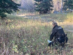 The B.C. Conservation Officer Service is investigating after three people were injured, two seriously, in a black bear attack near Dawson Creek on Oct. 3, 2022.