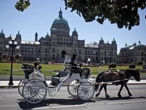 Tourists aboard a horse and carriage ride pass by the B.C. Legislature.