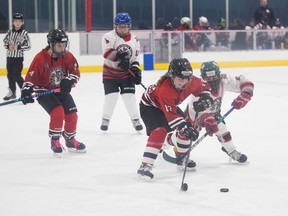 The Washington Wild, a long-standing female hockey program, has experienced a boost in interest among girls with the NHL’s Seattle Kraken arrival in the local market. ‘The Wild do a try hockey for free thing. Show up we’ll give you the gear. No pressure,’ says Brad Carmichael, father of nine-year-old Renee.