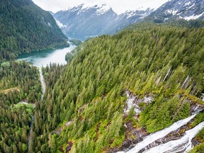 Chris Roberts and Dallas Smith: Illegal timber harvest shows need for expanding Indigenous Guardian programs