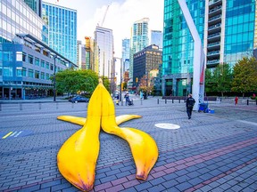 A huge banana peel was placed briefly in Jack Poole Plaza to remind people about avoidable accidents waiting to happen.