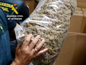 A Spanish civil guard holds a bag containing marijuana during the seizes the largest marijuana stash discovered so far, in Valencia, Spain, Oct. 17, 2022.