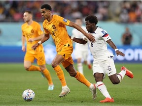 Cody Gakpo of Netherlands in action during the FIFA World Cup Qatar 2022 Round of 16 match between Netherlands and USA at Khalifa International Stadium on December 03, 2022 in Doha, Qatar.