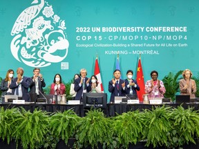 The leadership of the UN-backed COP15 biodiversity conference applaud after passing the The Kunming-Montreal Global Biodiversity Framework in Montreal, Dec. 19, 2022.
