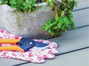 pruning shears