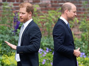 Princes Harry (left) and William, at a service honouring their late mother Princess Diana in July 2021, have become bitterly estranged as Harry is burdened with the role of family scapegoat, says Ramona Alaggia.