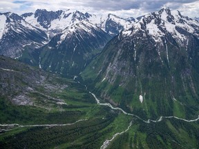 The Incomappleux River Valley is a vast and largely intact area of rare inland temperate rainforest, a unique ecosystem found only in one of a few regions on Earth. These forests contain some ancient trees ranging from 800 to 1,500 years old.