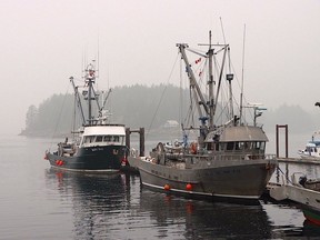 It's unclear who will be the winners and losers in the future of the commercial salmon fishery as the federal government transforms an industry once the backbone of the coast. Photo: Rochelle Baker,