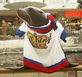 Kelpie the sea lion wears an Oil Kings jersey at West Edmonton Mall, the afternoon of Dec. 12, 2007. The mall announced that it had euthanized the 28-year-old marine mammal on Feb. 15, 2023.