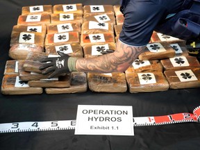An undated handout photo received from the New Zealand Police on February 8, 2023 shows some of the 3.2 tonnes of cocaine recovered adrift in the Pacific in an historic drugs bust estimated to be worth around 316 million US dollars.
