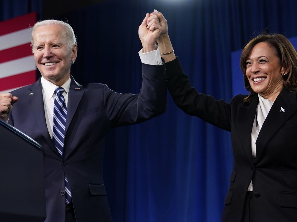 Biden 2024? Most Democrats say no thank you APNORC poll Flipboard