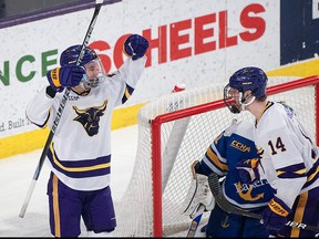 Defenceman Akito Hirose celebrates a goal for Minnesota State Mavericks.