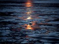 FILE - The midnight sun shines across sea ice along the Northwest Passage in the Canadian Arctic Archipelago, July 23, 2017. A new study Wednesday, March 15, 2023, says the thickness of sea ice dropped sharply in two sudden events about 15 years ago.