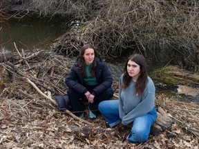 Laura Pandolfo (right) of Climate Crisis Langley Action Partners and Brit Gardner of the West Creek Awareness Group, at a breached beaver dam on the West Creek off of 272nd Street in the Gloucester Industrial Park in the Township of Langley on March 7, 2023. The pair believe beaver dams in the area are being dismantled in order to drain wetlands in order to make room for further industrial development.