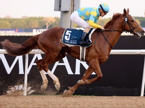 Jockey Christophe Lemaire on Derma Sotogake competes to win the UAE Derby at the Dubai World Cup horse racing event at the Meydan track in Dubai on March 25, 2023.