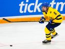 Tom Willander's second-half progression this season could make the Swedish defenceman the Canucks' first draft pick on June 28 in Nashville.