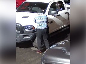 A suspect is responsible for keying and damaging nearly 400 vehicles at a Coquitlam car dealership, say RCMP.