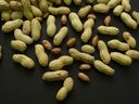 FILE - This Feb. 20, 2015 photo shows an arrangement of peanuts in New York. A study published in the New England Journal of Medicine on Wednesday, May 10, 2023, finds an experimental skin patch shows promise to treat toddlers who are highly allergic to peanuts.