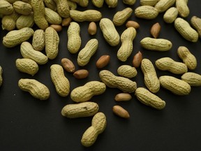 FILE - This Feb. 20, 2015 photo shows an arrangement of peanuts in New York. A study published in the New England Journal of Medicine on Wednesday, May 10, 2023, finds an experimental skin patch shows promise to treat toddlers who are highly allergic to peanuts.