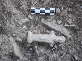In this photo released by the Greek Culture Ministry on Wednesday, June 7, 2023, an ancient clay figurine of the god Hermes found in the remains of an ancient sanctuary on the Aegean Sea island of Kythnos.