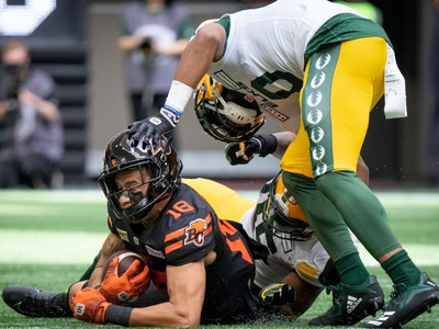 Are the Edmonton Elks the team for you? - Ninety-Nine Yards