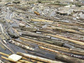 Logs gathered from a boom on the Fraser River.