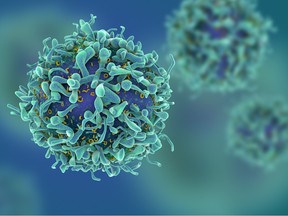 CG render of T-cells in shallow depth of field. Getty