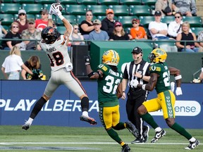 bc lions