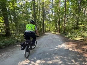 Burnaby RCMP said it has boosted patrols in the Central Park area since the incident occurred.