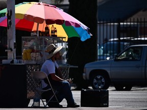 A street vendor sits under an umbrella while selling fruit on the side of a road in Los Angeles on July 11, 2023.