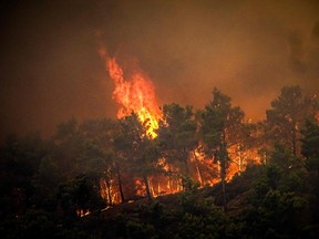 This photograph taken on July 22, 2023 shows pine trees burning in a wildfire on the Greek island of Rhodes.