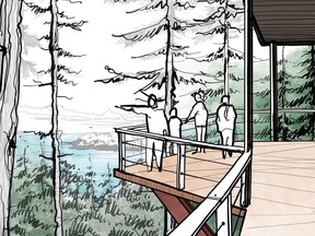 Artist rendering of lookout platform proposed for Bowen Park. For Derrick Penner story. Handout.