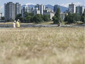 After more than a month of precipitation and high temperatures, many areas of Vancouver and the province are drying out — as here with yellowed grass in Vancouver's Vanier Park on July 10, 2021.