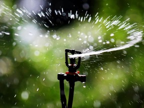 Water restrictions went into effect in May in Metro Vancouver, which only allows lawn watering once a week.