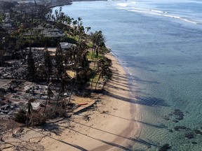 FILE: In an aerial view, homes and businesses are seen that were destroyed by a wildfire on August 11, 2023 in Lahaina, Hawaii. Dozens of people were killed and thousands were displaced after a wind-driven wildfire devastated the town of Lahaina on Tuesday. Crews are continuing to search for missing people.