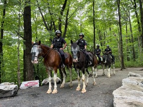Members of the Toronto Police mounted unit search for a person believed to have been swept away in the storm tunnels in Earl Bales Park. / TORONTO SUN