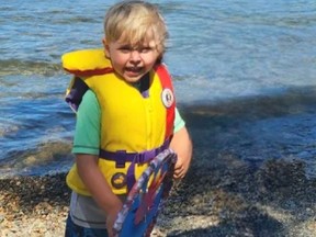A GoFundMe campaign has been launched to help the family of a boy killed by a tree in the Okanagan