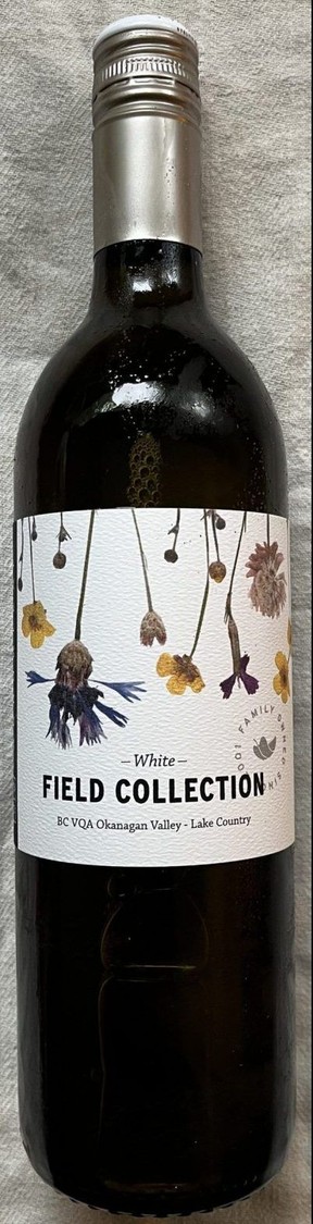 Wine Guy