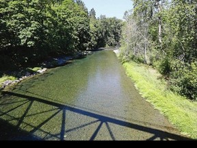 A view of the Cowichan river from the bridge on Allenby Road in Duncan ADRIAN LAM, TIMES COLONIST