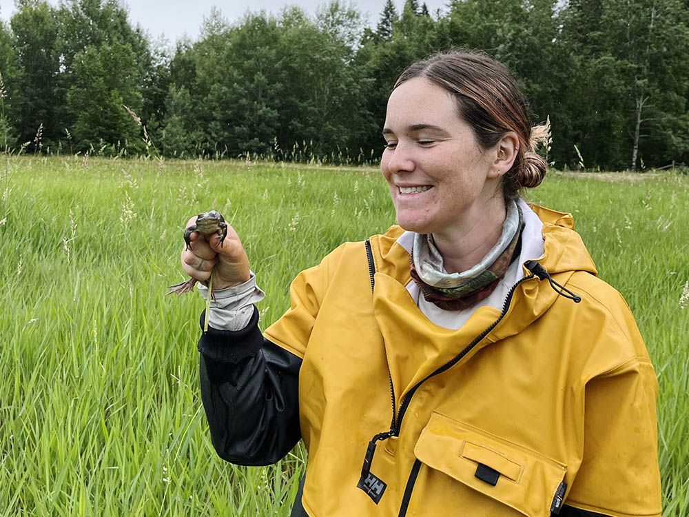 B.C. frog relocation project aims to better understand conservation practice