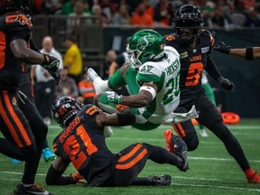 Lions-Riders