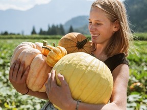 This could be you at the Harrison Pumpkin Festival, on from Sept. 29 until the pumpkins run out, in Agassiz.