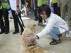 File photo of a flight passenger greeting a therapy dog at YVR. Photo by Jason Payne/ PNG